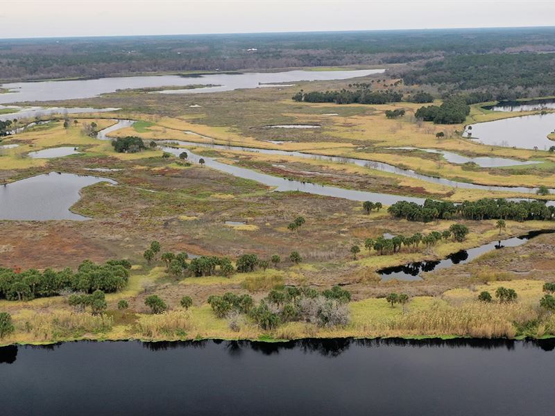 Volusia Island Fish Camp : Geneva : Seminole County : Florida