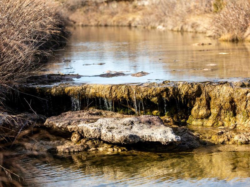 Crystal Springs Ranch Hill Creek Tr : Glen Rose : Bosque County : Texas