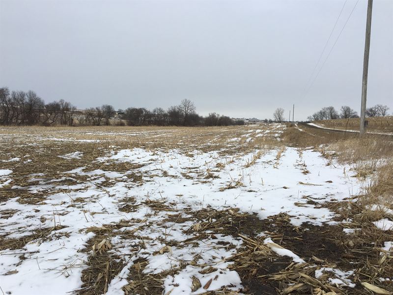 78 Acres, Row Crop, Bottom & Hill : Parnell : Nodaway County : Missouri
