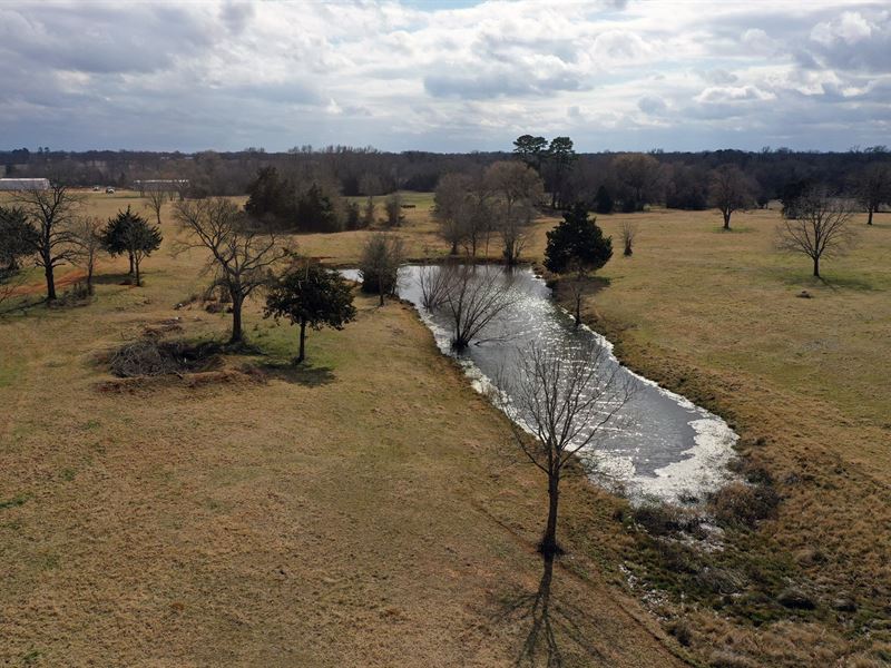 Beautiful Tract 32.41 Acres Bullard Ranch for Sale in Bullard, Smith