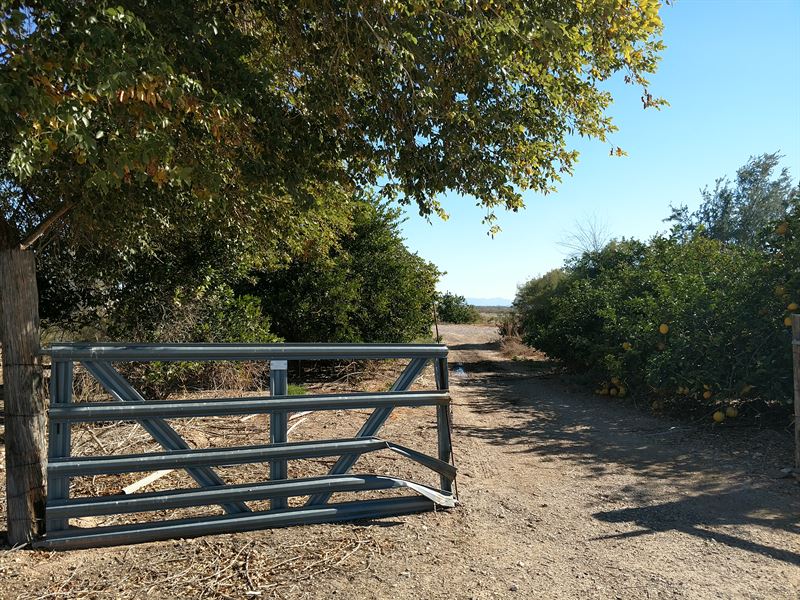Acreage for Sale in Tonopah, AZ : Tonopah : Maricopa County : Arizona