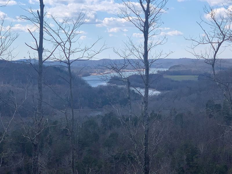 TN Land with Tennessee River View : Linden : Perry County : Tennessee