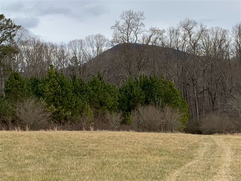 Northern Hall County, Georgia : Clermont : Hall County : Georgia