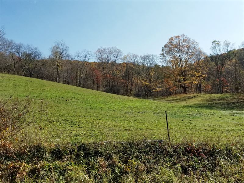 Mountain Farm Land with Spring Ranch for Sale in Mouth Of Wilson