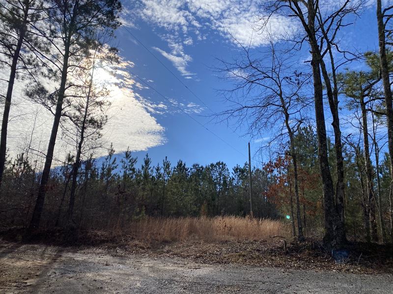 14 Ac in Jacksons Gap, AL Ranch for Sale in Jacksons Gap, Tallapoosa County, Alabama 268241