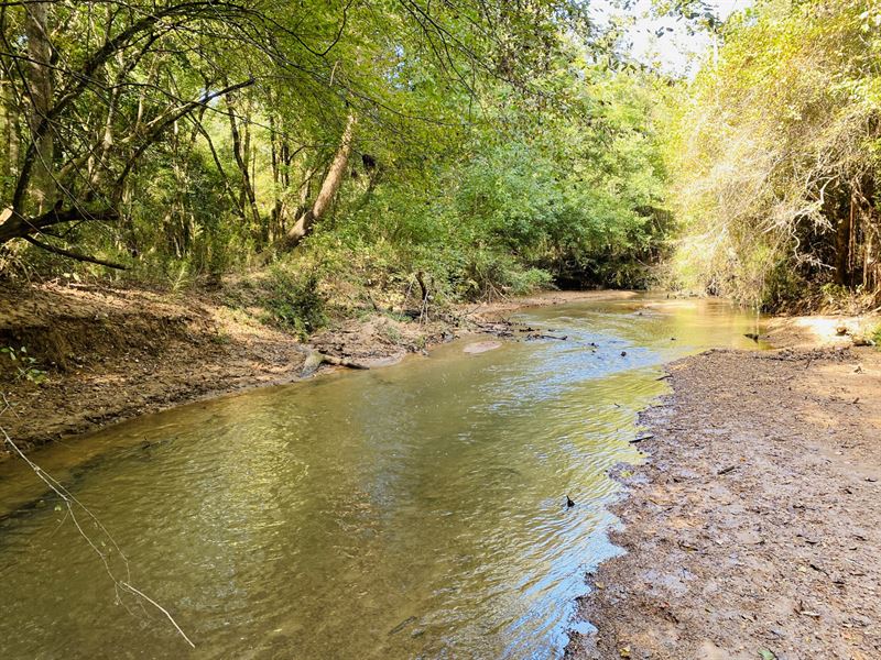 Little Halawakee Creek : Opelika : Lee County : Alabama