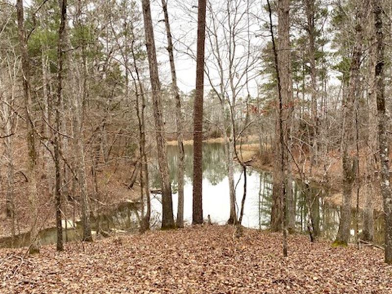 One Of A Kind 29 Ac On Clarks Hill : Lincolnton : Lincoln County : Georgia