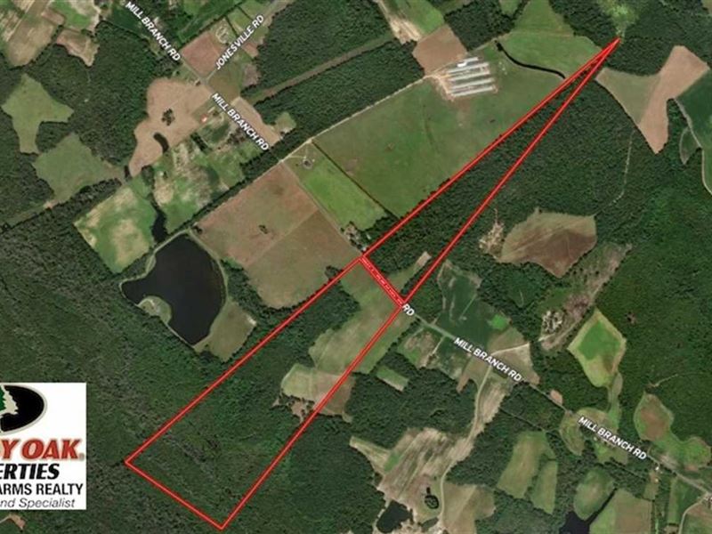147.5 Acres of Farm, Hunting and Ti : Fairmont : Robeson County : North Carolina