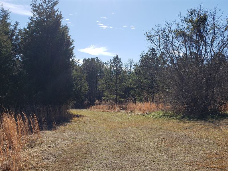 Great Hunting and Homesite : Junction City : Talbot County : Georgia