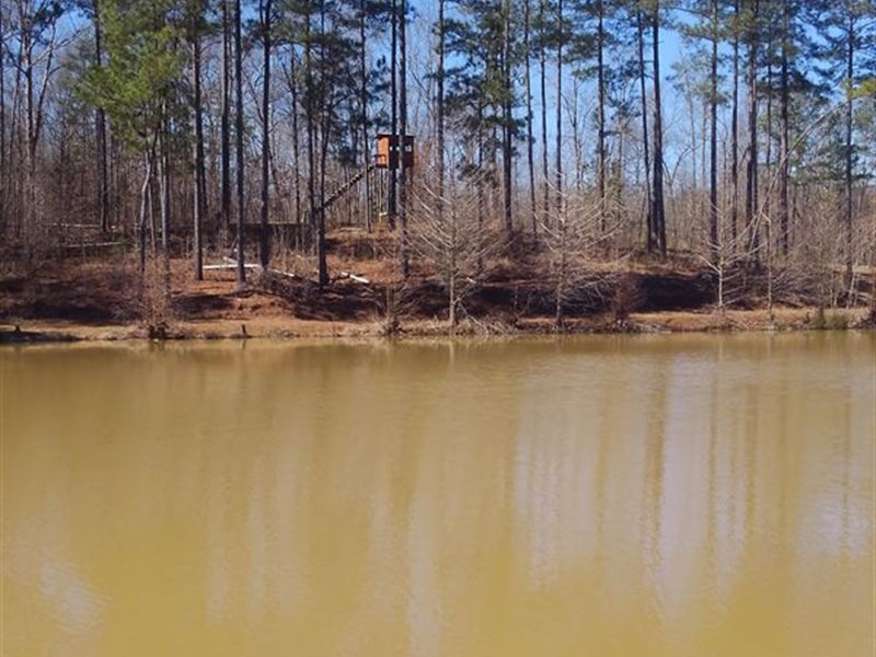 Beautiful Wooded Property with Pond : Haddock : Jones County : Georgia