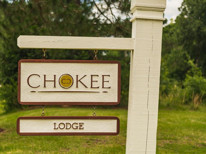 Chokee, Wild Quail Plantation : Leesburg : Lee County : Georgia