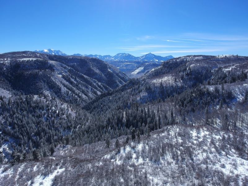 Big Alder Creek Ranch : Paonia : Delta County : Colorado