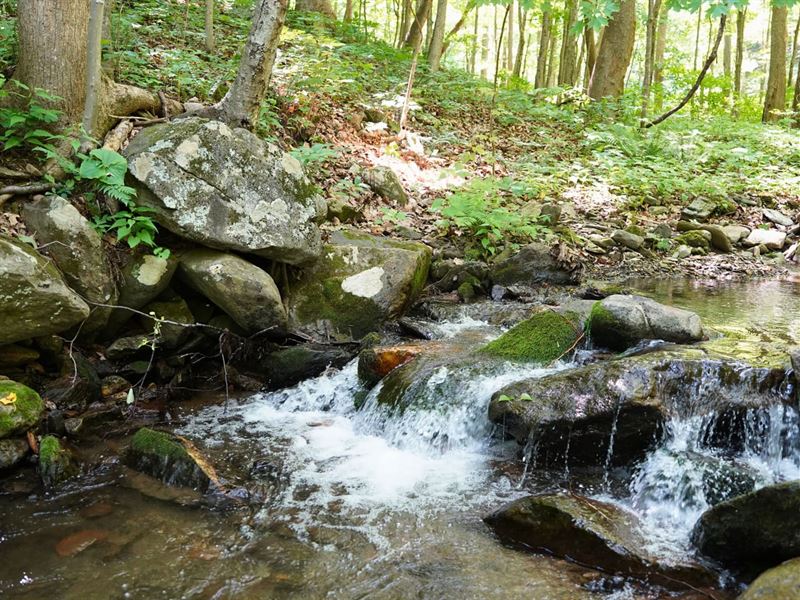Creek-To-Peak 329 Acres of Casc : Floyd : Floyd County : Virginia