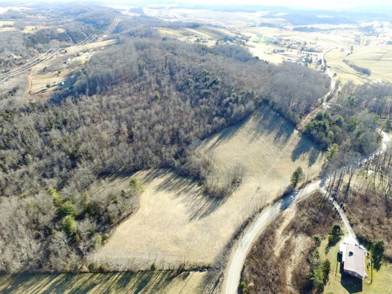 Mixture Open Wooded Land Wythe : Austinville : Wythe County : Virginia