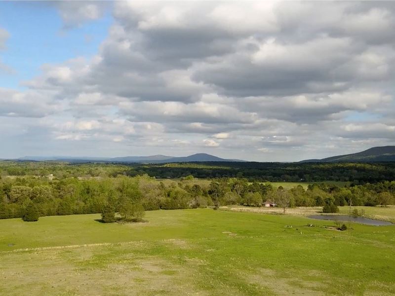Beautiful Pasture Land : Mansfield : Scott County : Arkansas