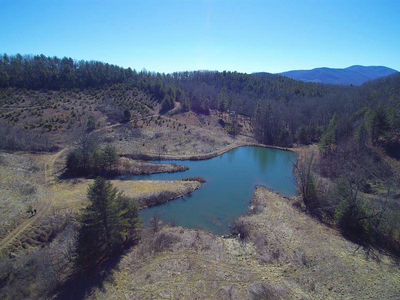 Large Tract in Elk Creek Valley : Elk Creek : Grayson County : Virginia