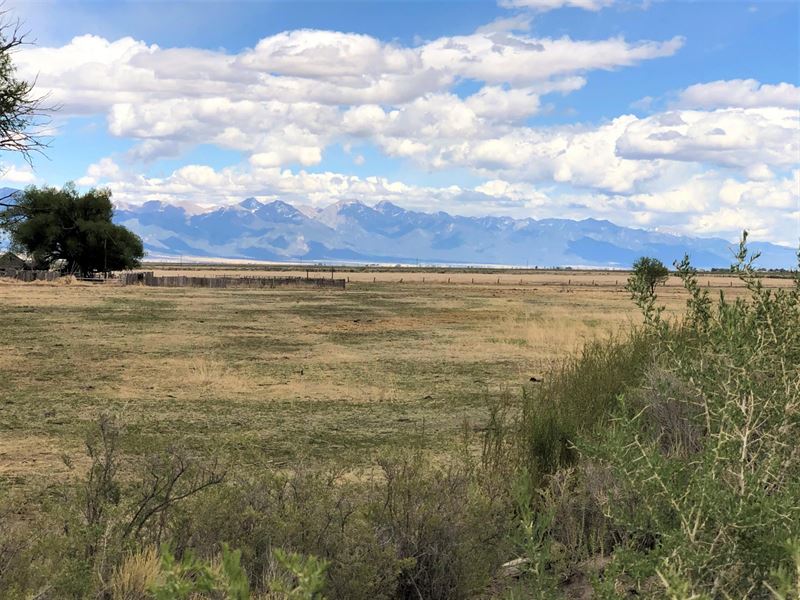 Saguache Irrigated Farm : Saguache : Saguache County : Colorado