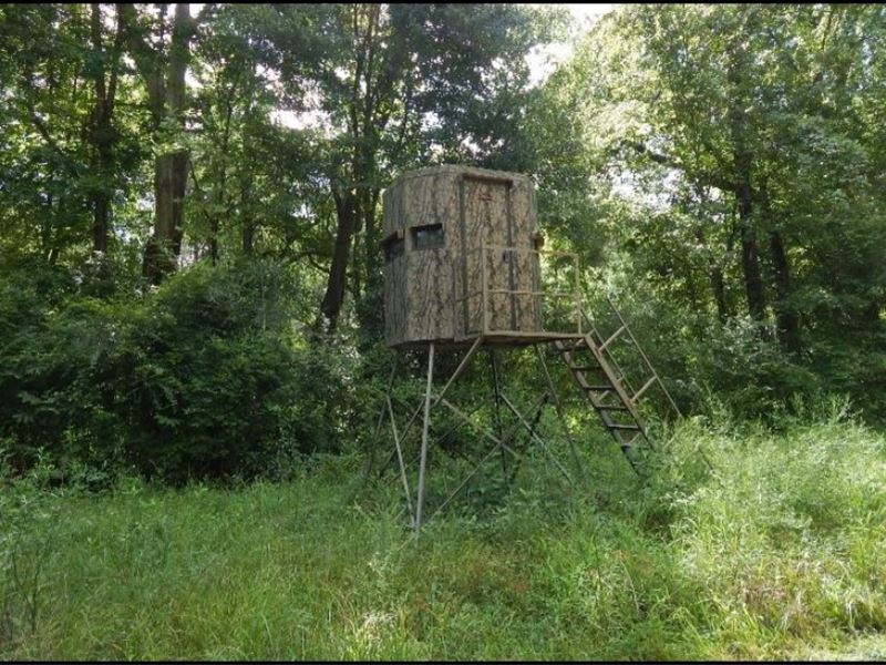 275 Acres in Hinds County in Raymon : Raymond : Hinds County : Mississippi