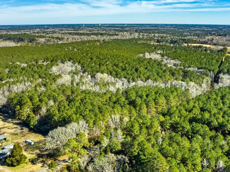 102 Acres Timberland, Investment/R : Ruston : Lincoln Parish : Louisiana