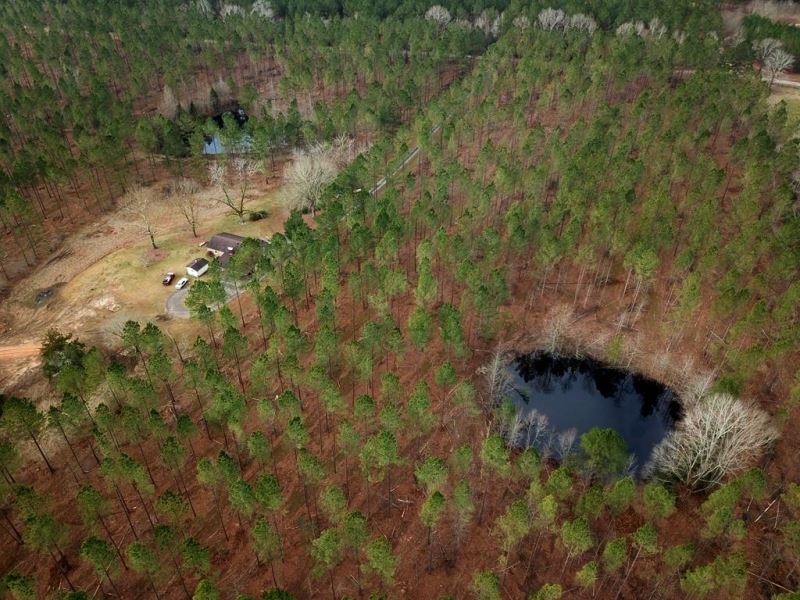 67 Acres Prime Hunting Land, Camp : Smithdale : Amite County : Mississippi
