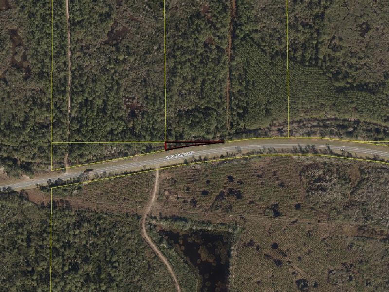 54.40 Acres in Mayo, Florida : Mayo : Lafayette County : Florida