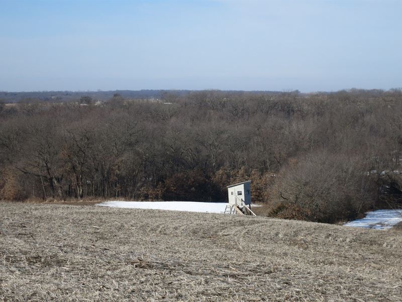 Northwest Missouri Hunting Honey : Bethany : Harrison County : Missouri
