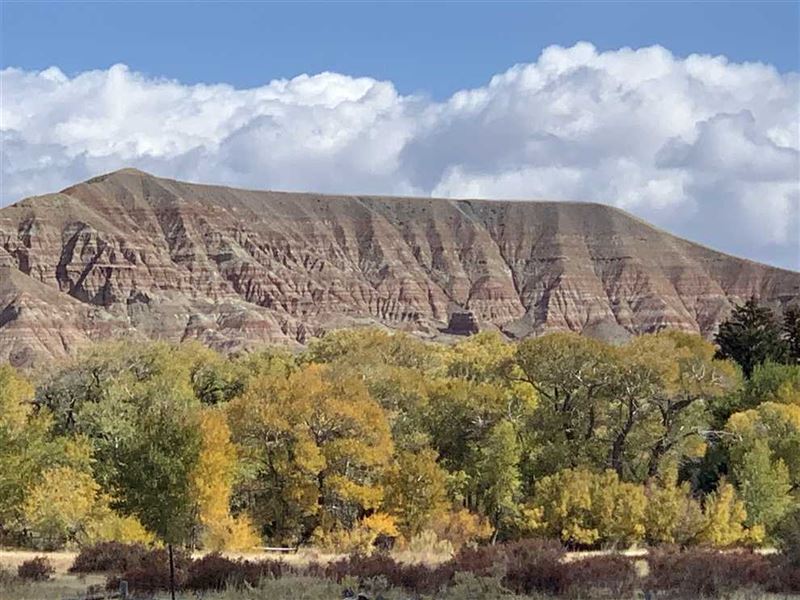 32 Unrestricted Acres Ready for Yo : Dubois : Fremont County : Wyoming