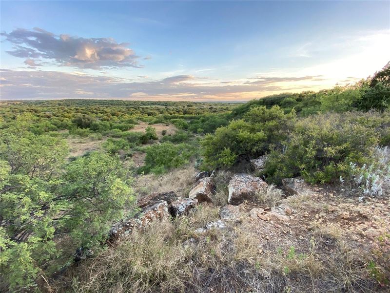 853 Acres High Fence Ranch : Cisco : Callahan County : Texas
