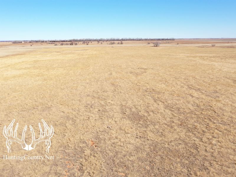 120 Acres M/L. Harper County Kansas : Waldron : Harper County : Kansas