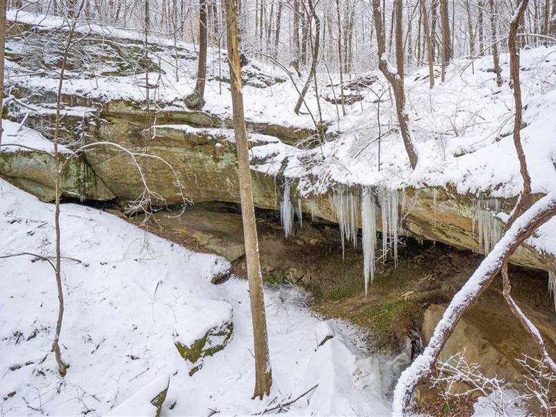Twp Hwy 175, 61 Acres, Meigs Cou : Pomeroy : Meigs County : Ohio