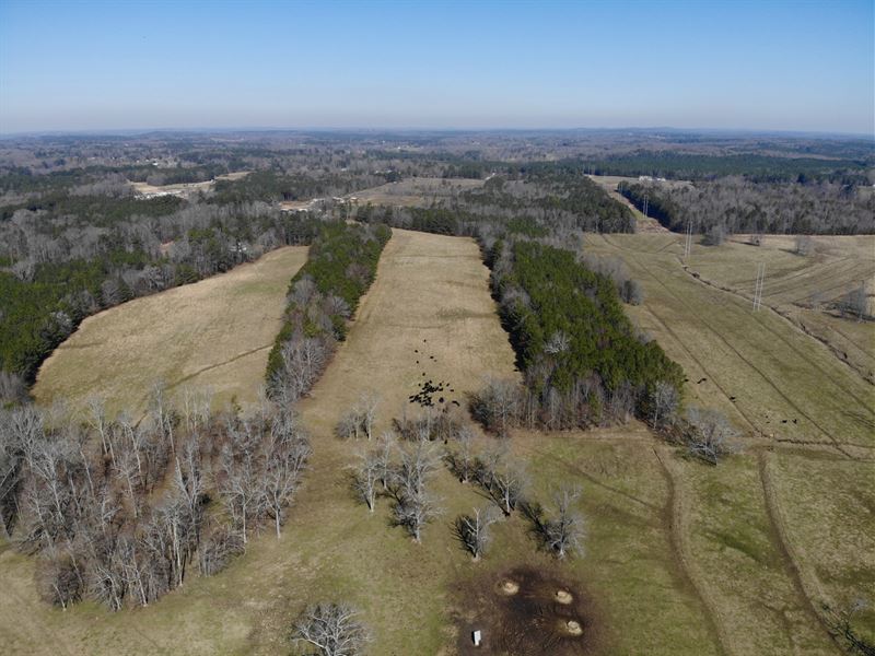 179 Ac Cattle Farm : Dalton : Whitfield County : Georgia