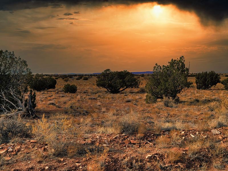 Chevelon Canyon Ranch Retreat : Heber : Navajo County : Arizona