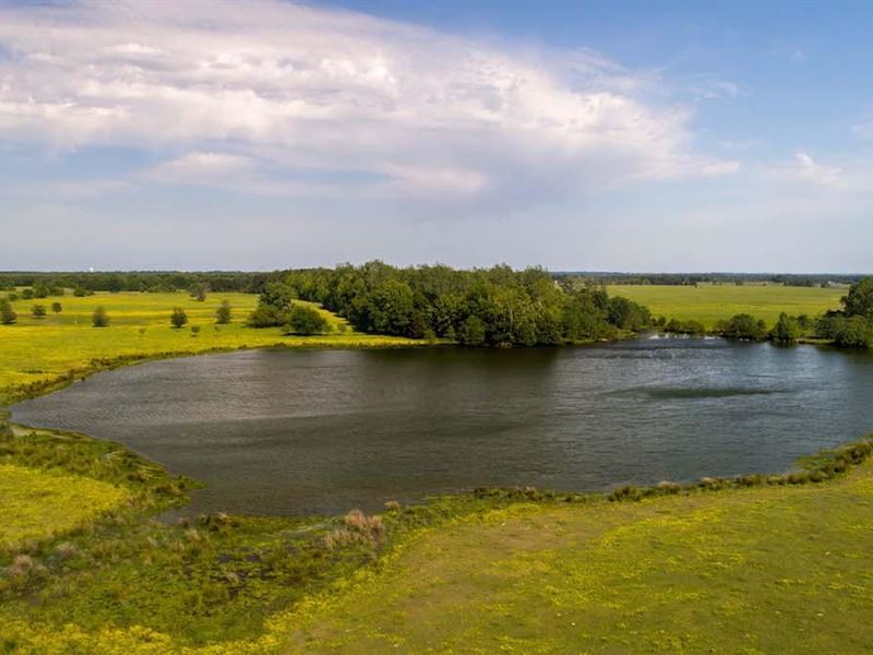 Dorsey Creek Ranch : Mount Pleasant : Titus County : Texas