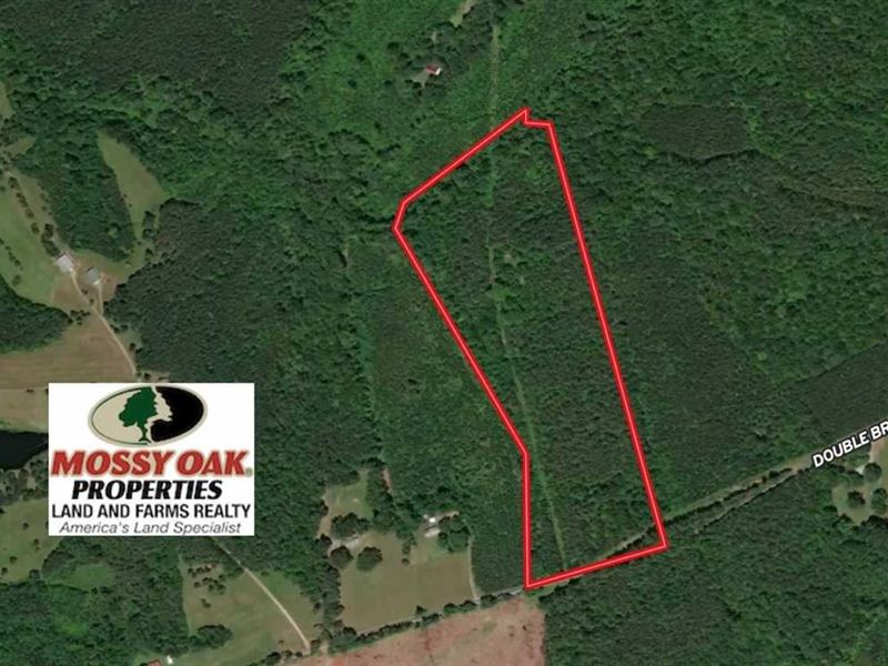 29 Acres of Huntin : Meherrin : Lunenburg County : Virginia