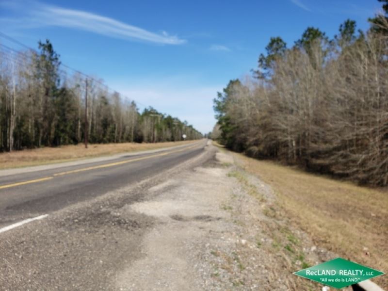 25.87 Ac, Wooded Tract for Home Si : Kountze : Hardin County : Texas