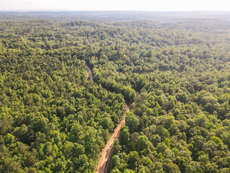 Liberty Hill : Cusseta : Chattahoochee County : Georgia