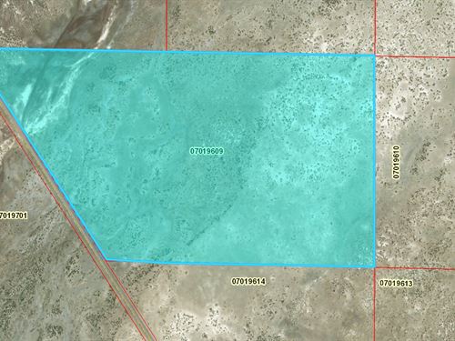 63.87 Acres in Ranching Country : Winnemucca : Humboldt County : Nevada