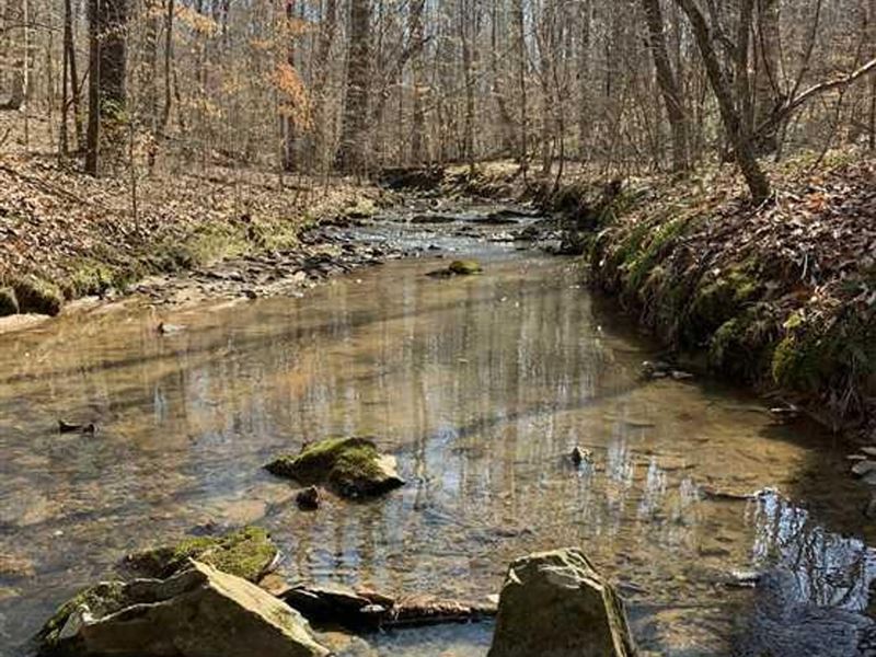 20.06 Acres Long Meadow Ln Whits : Whitsett : Guilford County : North Carolina