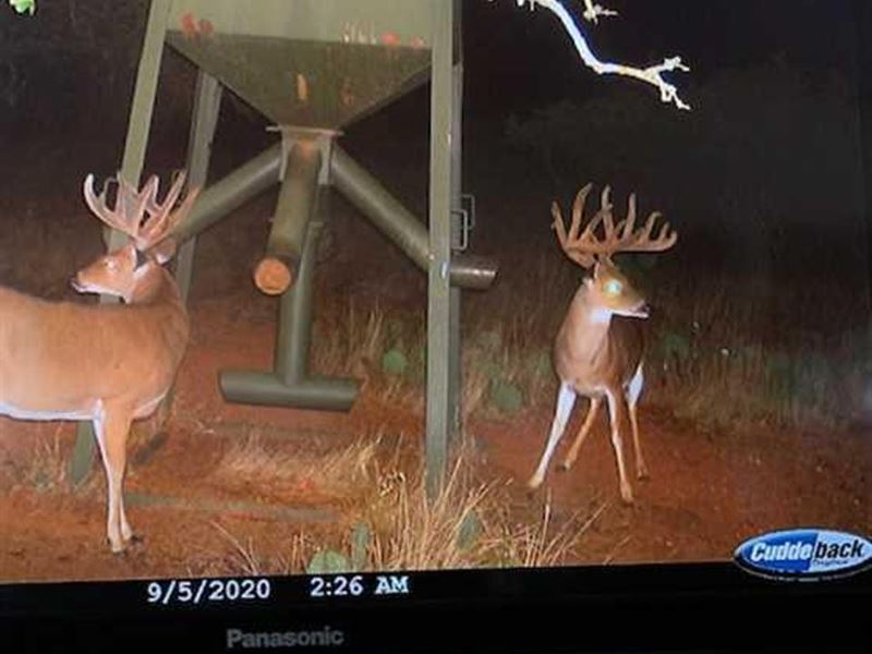 Our Fathers Ranch : Cisco : Eastland County : Texas