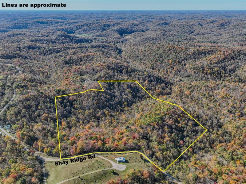 Shay Ridge, 43 Acres- Washington : New Matamoras : Washington County : Ohio