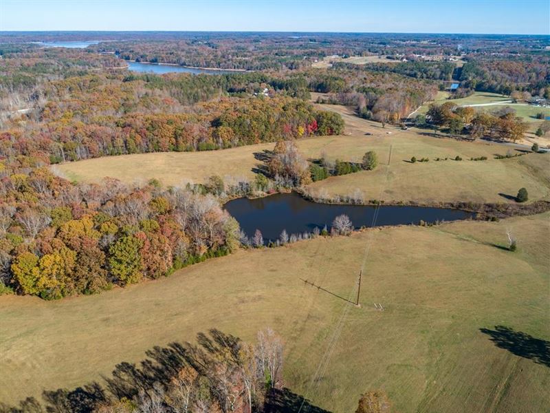 Rolling Hills Farm Minutes To Buggs : Buffalo Junction : Mecklenburg County : Virginia