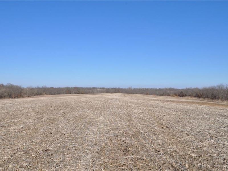 Quality Farm Daviess County, Great : Jamesport : Daviess County : Missouri