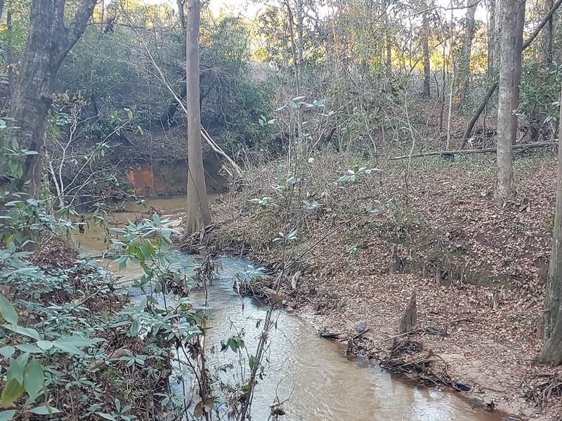 Camp Creek Playground : Andalusia : Covington County : Alabama