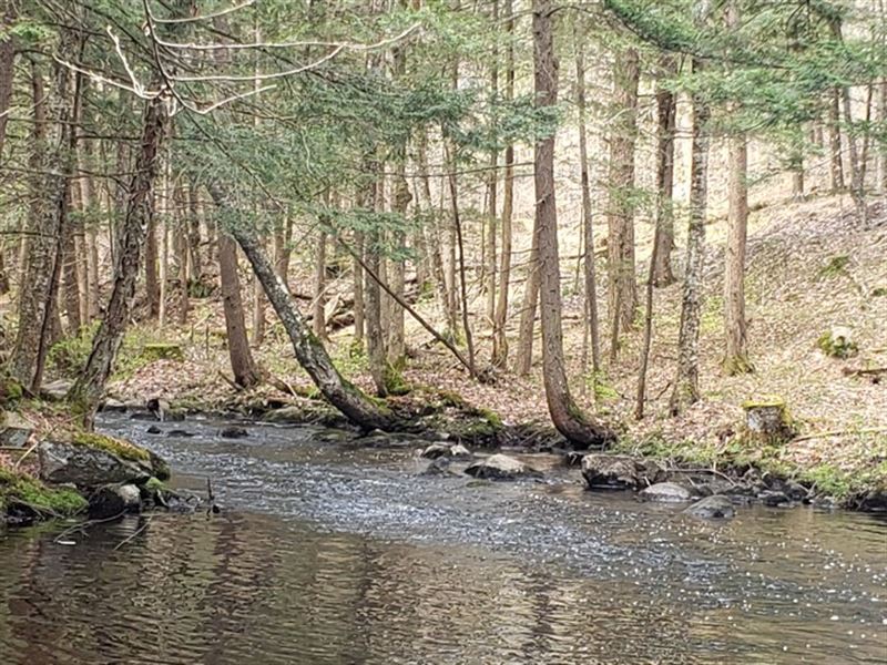 Hunting Land on Brown's Creek : Diana : Lewis County : New York