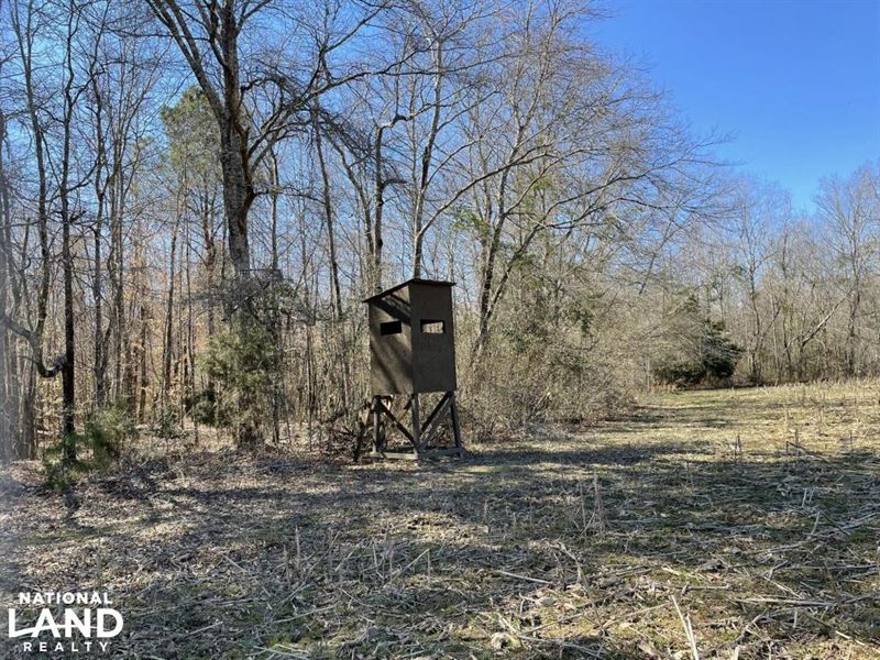 Luxapallila Recreational Tract : Fayette : Fayette County : Alabama