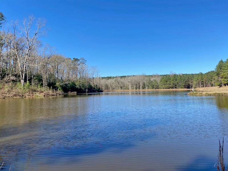 Co Rd 2201 Elsberry Tract : Goshen : Pike County : Alabama