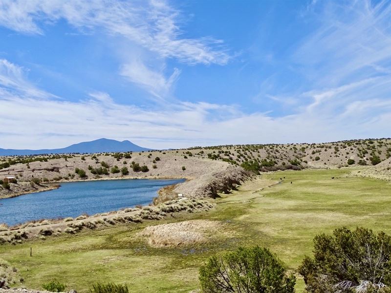 Catron County's Rito Springs Ranch, Ranch for Sale in New Mexico