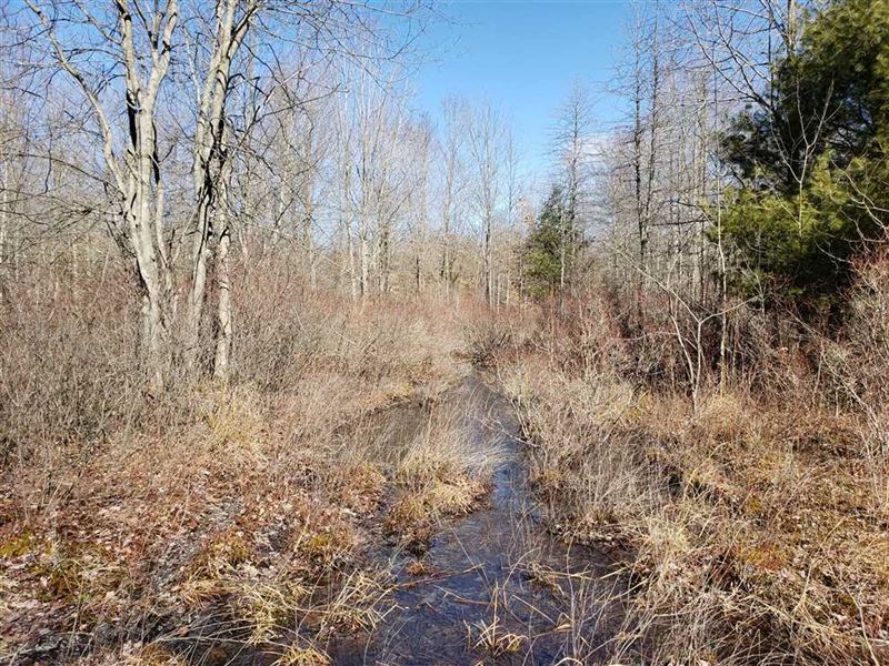 40 Acre Turnkey Deer Hunting Parad : Covert : Van Buren County : Michigan