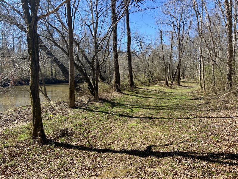 Reedy River Tract : Fountain Inn : Greenville County : South Carolina