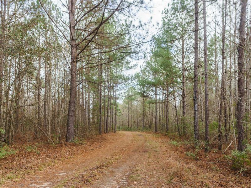 Ponderosa Farm : Portal : Bulloch County : Georgia